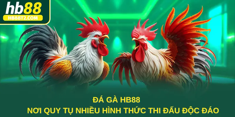 Đá gà HB88 - Nơi quy tụ nhiều hình thức thi đấu độc đáo 